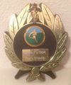 1984 spring sevens medal.jpg